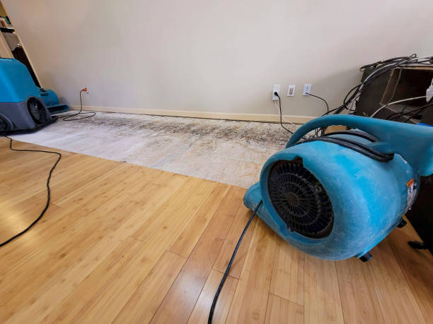 Reliable Basement Flood Cleanup contractor in Ferris, TX by Hirex Water Damage
