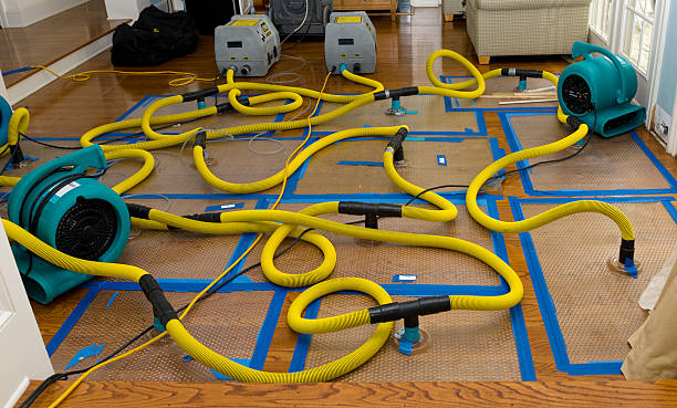Professional Basement Flood Cleanup technician working in Ferris, TX